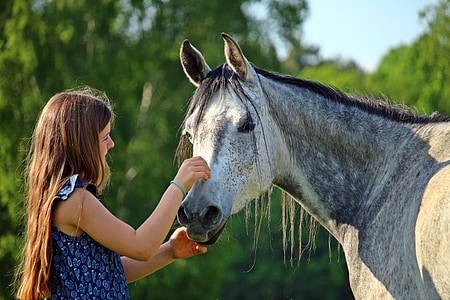girl holding horse thumbnail