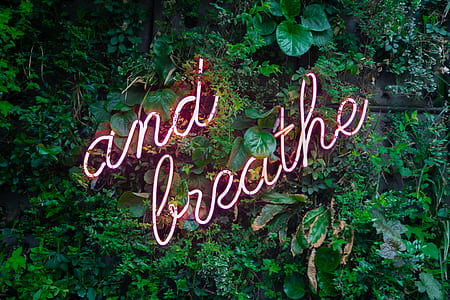 and breathe neon light signage thumbnail