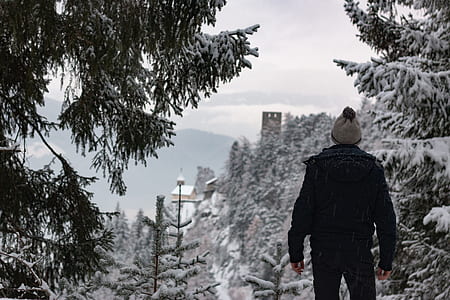 person standing front of tree thumbnail