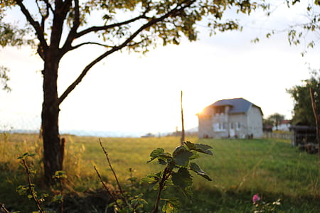 dawn, landscape, nature, sky thumbnail