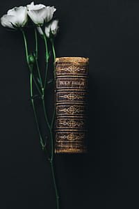 white flowers and brown holy bible thumbnail