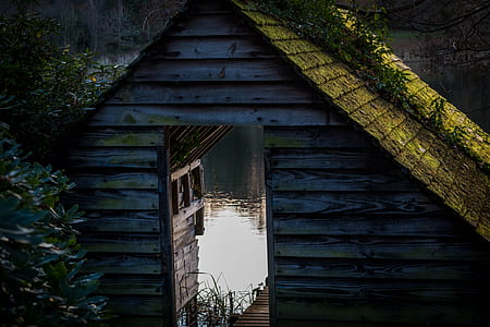 brown wooden shed near body of water thumbnail