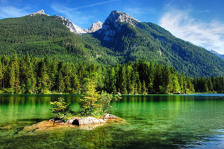 green tree on an island surrounded by body of water thumbnail