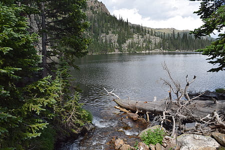 Body of Water Surrounded With Green Trees thumbnail