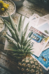 pineapple fruit thumbnail