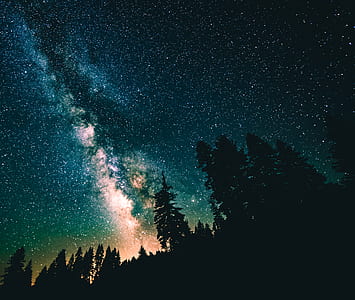 silhouette photo of trees under stargazing sky during night time thumbnail