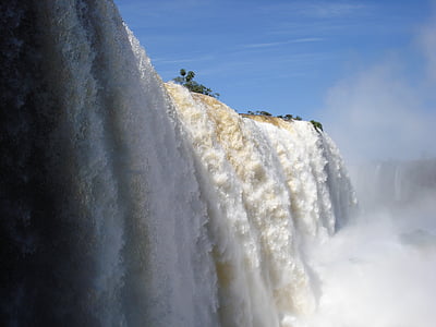 green tree on top of waterfalls thumbnail