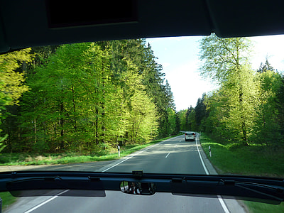 vehicles on road surrounded by trees during daytime thumbnail