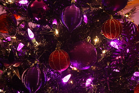 lighted Christmas tree thumbnail