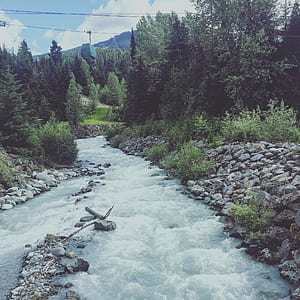 River Between of Grey Pebbles and Green Trees thumbnail