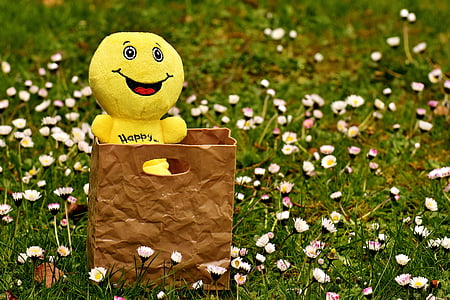 emoji plush toy in brown handbag on white petaled flowers thumbnail