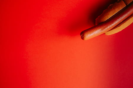 sandwich hotdog thumbnail