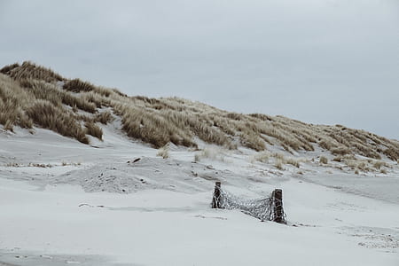 photo of white sand under white sky thumbnail