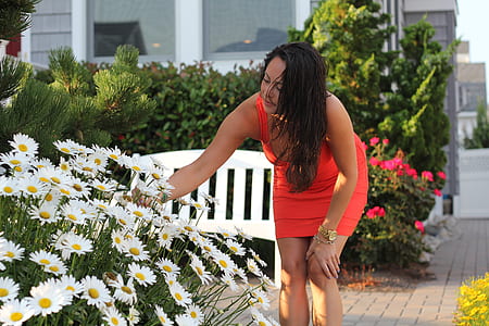 woman touching white daisy flowers thumbnail