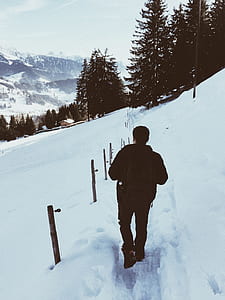 man standing near trees thumbnail