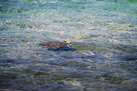 body of water thumbnail