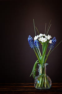 white petaled flower in clear glass vase thumbnail