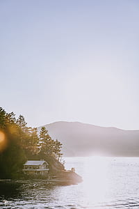 white wooden house near trees and body of water thumbnail