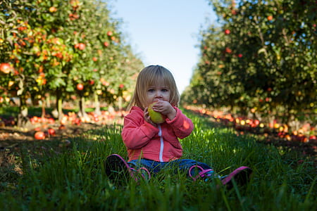 girl's sitting on green grass eating fruit thumbnail