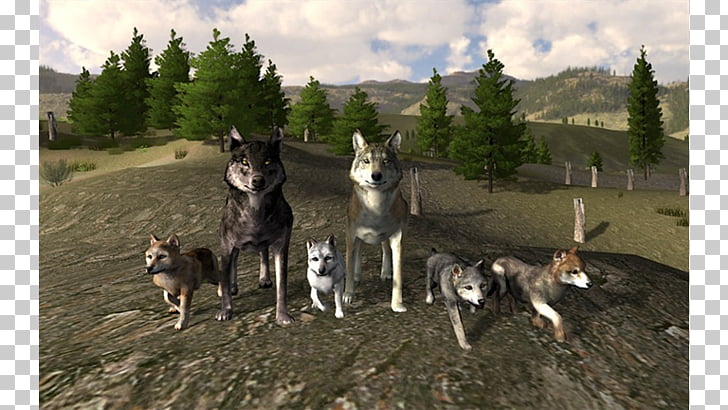 Siberian Husky Wolfquest Gray Wolf Czechoslovakian Wolfdog Roblox Minecraft Png Clipart Free Cliparts Uihere - roblox and minecraft dog scale