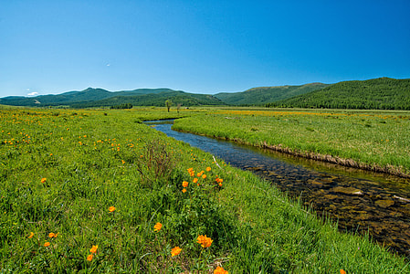 river in between grass field thumbnail