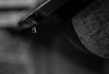 grayscale photo of water drop lets thumbnail