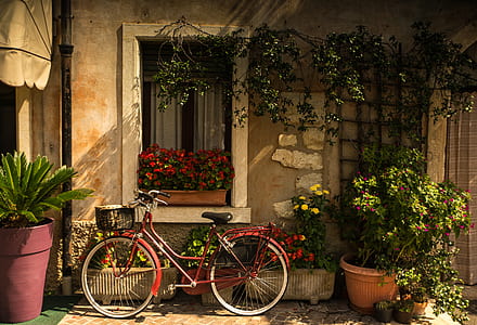 red cruiser bike leaning on wall thumbnail