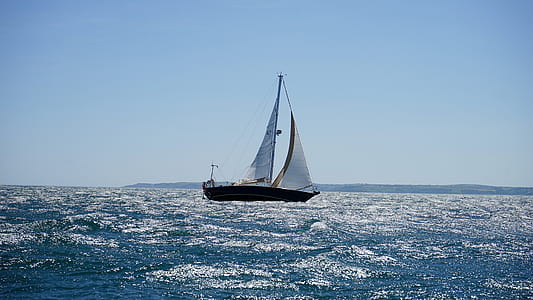 White and Black Sail Boat on Ocean thumbnail