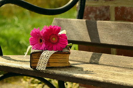 pink Gerbera daisies on brown hardbound book on brown wooden bench thumbnail