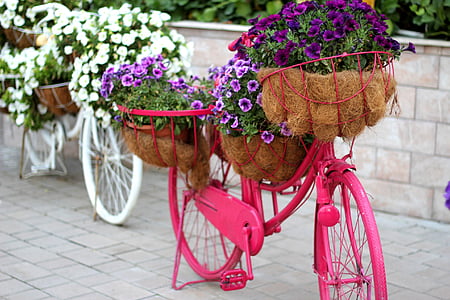 purple petunia flowers on pink bicycle flower rack at daytime thumbnail