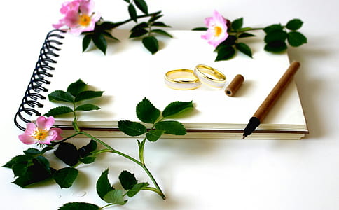 Scene with flowers, blank notebook and wedding rings. Wedding journal, guestbook. thumbnail