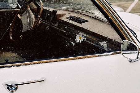 white daisy on vehicle glove compartment view from outside the vehicle thumbnail