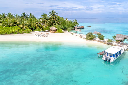 Beige Beach With Huts and Loungers Beside Teal Calm Body of Ocean at Daytime thumbnail