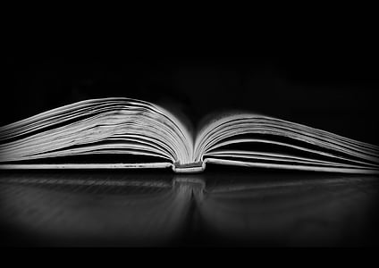open book thumbnail