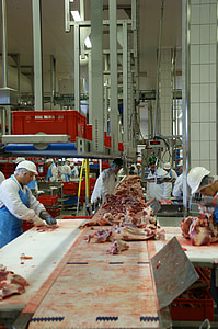 people working inside meat factory thumbnail