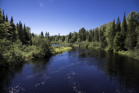 Forest and scenic river at Van Riper State Park, Michigan thumbnail