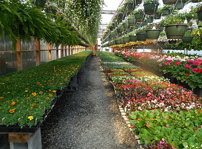 assorted flowers thumbnail