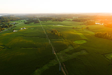grassland during daytime thumbnail