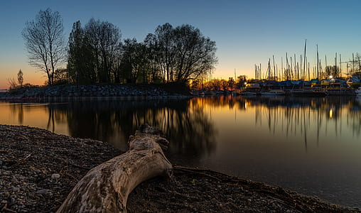 lake and leafed trees thumbnail