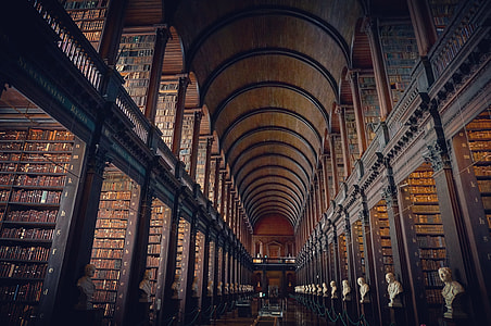 library interior thumbnail