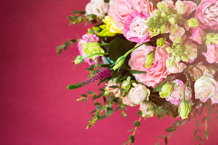 pink-and-white petaled flowers closeup photography thumbnail