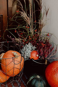 Pumpkins and flowers as decoration on stairs thumbnail