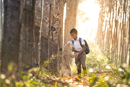 brown dog standing with its two feet beside boy with white and brown school uniform photo thumbnail