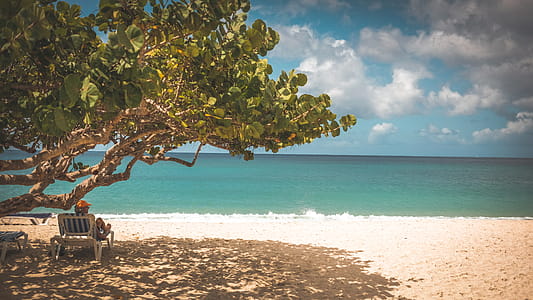 Person Sitting on Chair in Front of Seashore thumbnail
