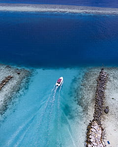 aerial photography of white and black boat on sea during daytime thumbnail