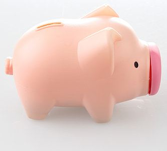 pink coin piggy bank thumbnail