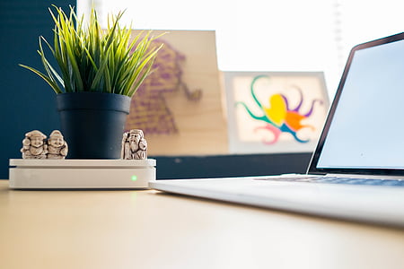 laptop computer beside potted linear plant thumbnail