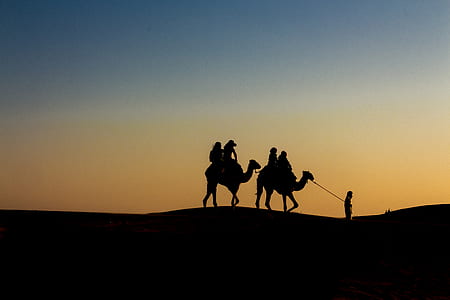 silhouette photography of two people riding on camel thumbnail