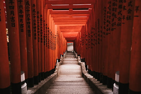 gray and red concrete staircase thumbnail