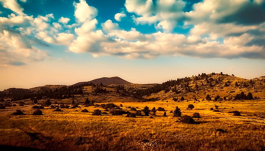 landscape photography of mountain and trees thumbnail